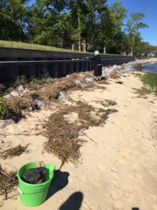 beach sweep 2